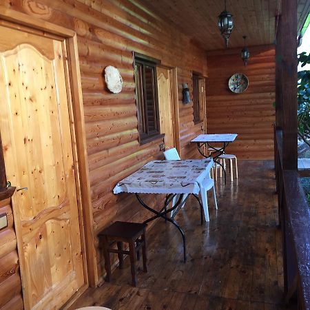 Guest House Nana Gagra Exterior photo