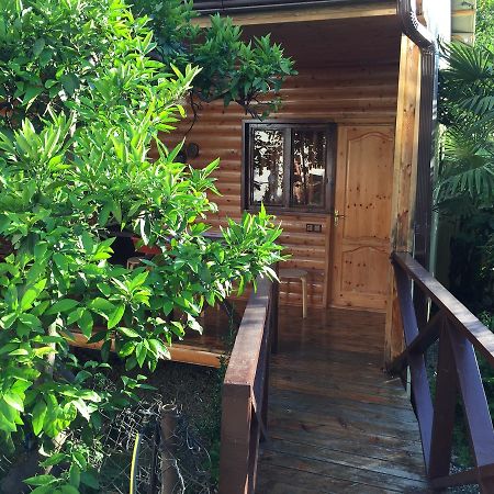 Guest House Nana Gagra Exterior photo