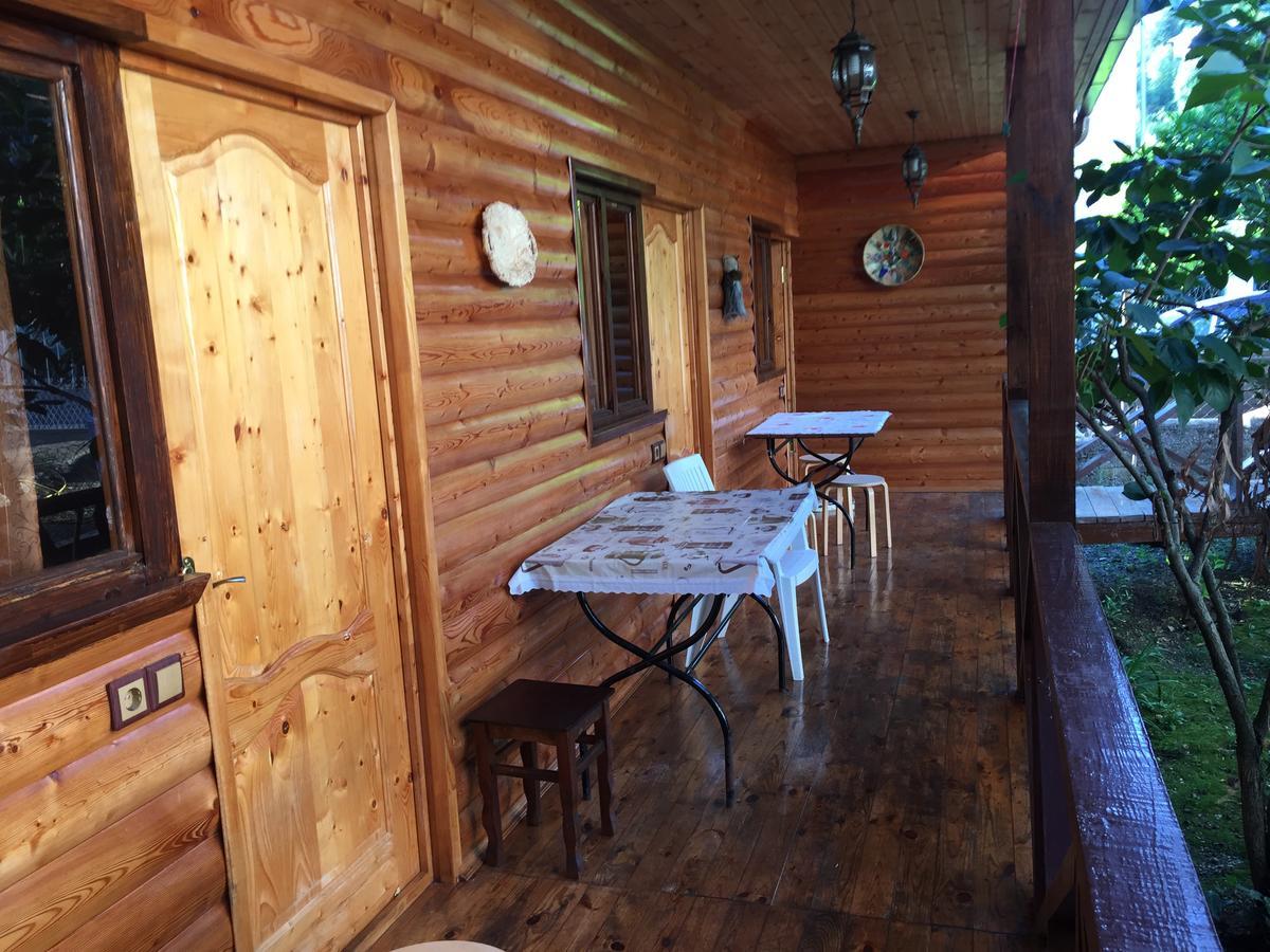 Guest House Nana Gagra Exterior photo