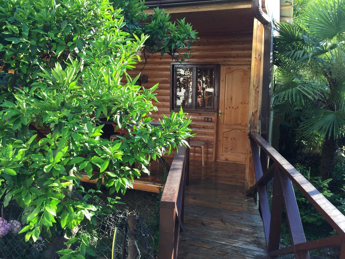 Guest House Nana Gagra Exterior photo