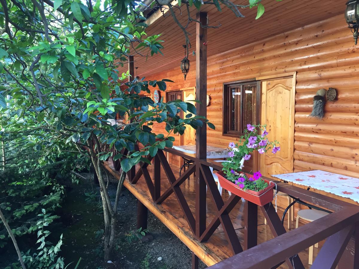 Guest House Nana Gagra Exterior photo