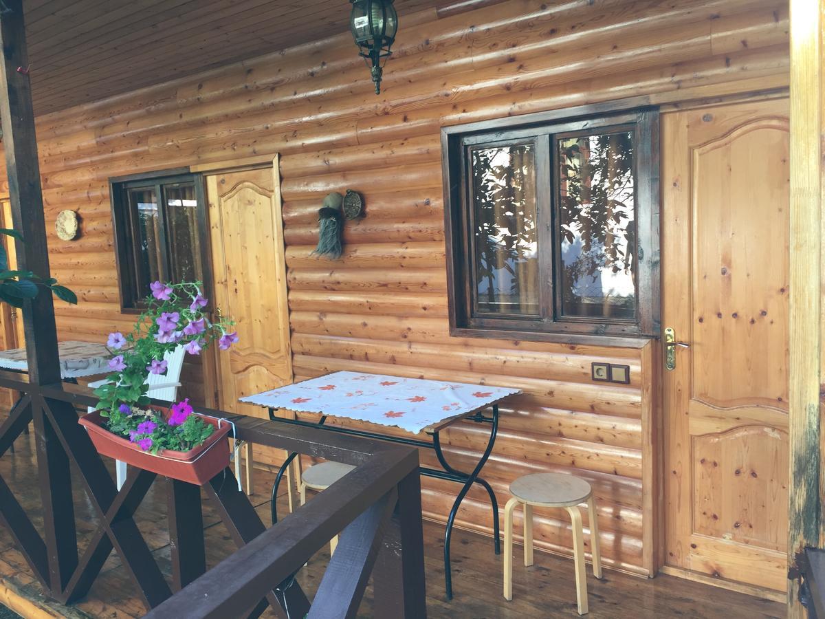 Guest House Nana Gagra Exterior photo