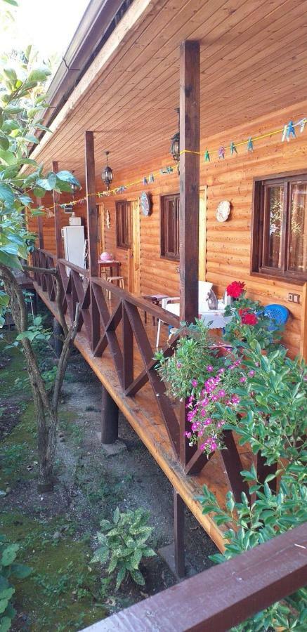 Guest House Nana Gagra Exterior photo